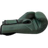 Fairtex F-Day BGV11 Gloves - Muay Thai Kickboxing Training Boxing Equipment Gear
